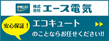 エース電気