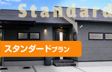 スタンダードプラン